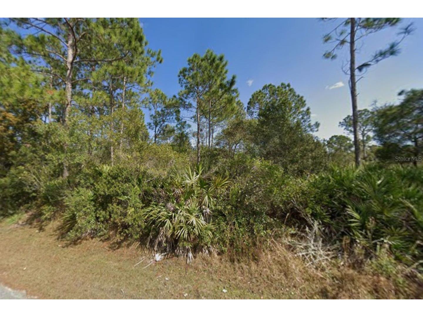 25 Ulmaceal Path Palm Coast FL 32164 TB8496494 image3