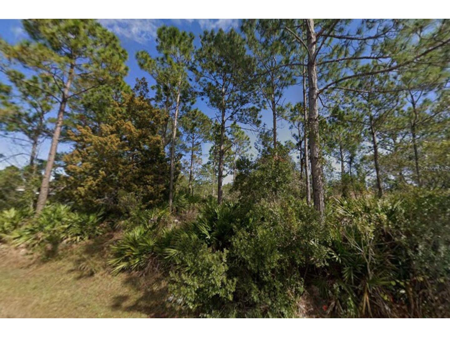 25 Ulmaceal Path Palm Coast FL 32164 TB8496494 image4