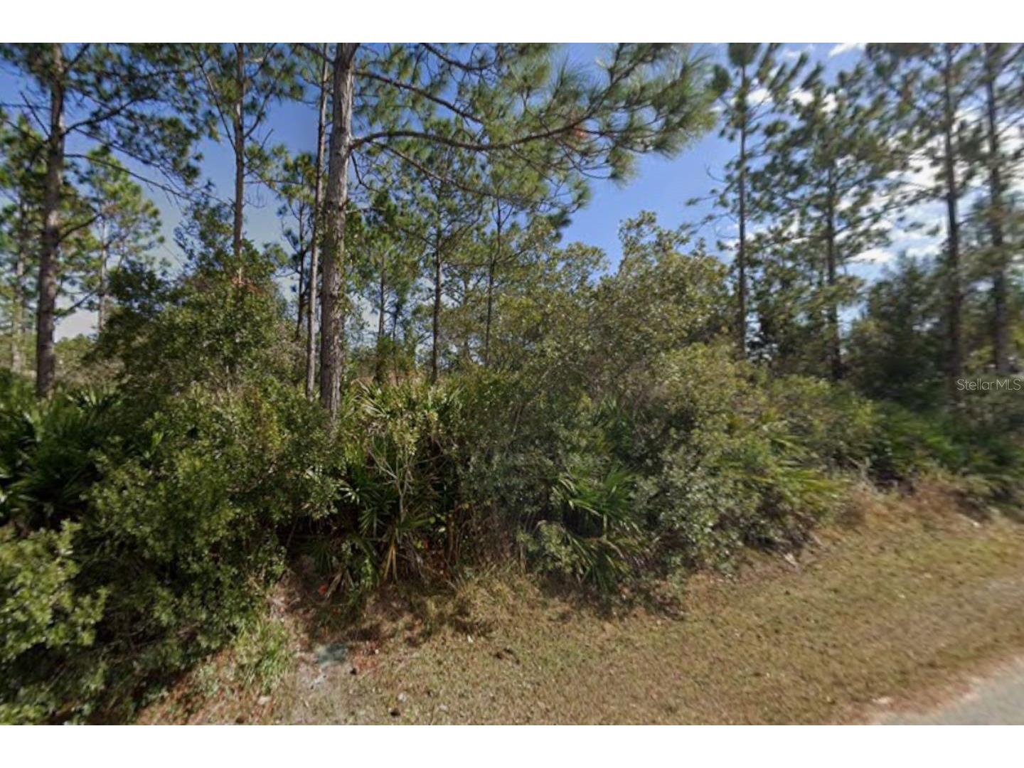 25 Ulmaceal Path Palm Coast FL 32164 TB8496494 image5