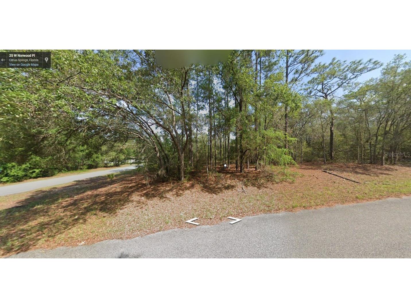 25 W Norwood Place Dunnellon FL 34434 O6248123 image1