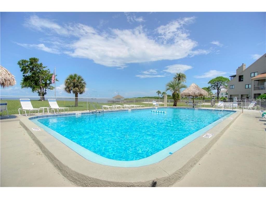 25 Windrush Bay Drive #25 Tarpon Springs FL 34689 - GULF OF MEXICO TB8356761 image2