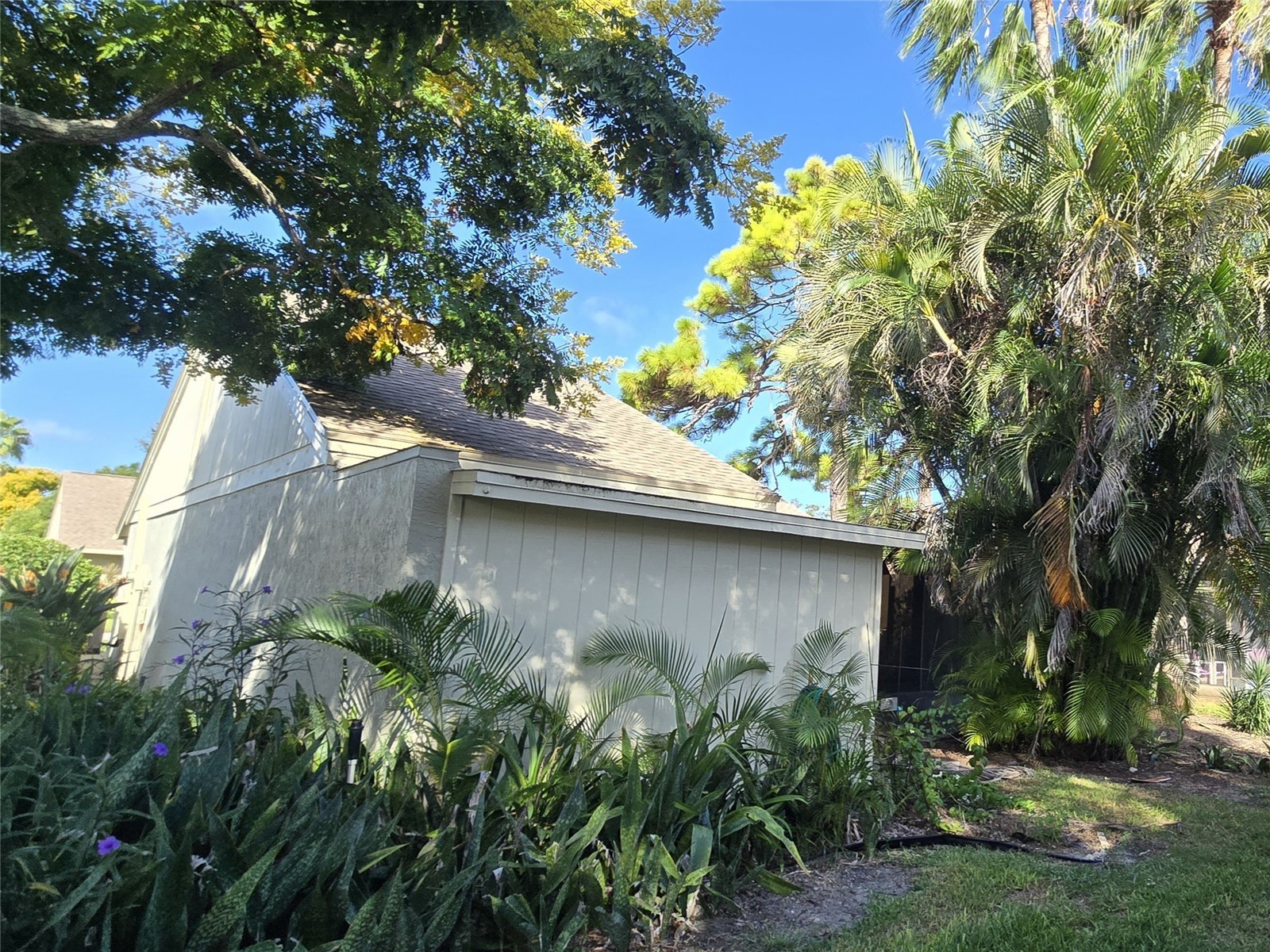 25 Windrush Bay Drive #25 Tarpon Springs FL 34689 - GULF OF MEXICO TB8356761 image30