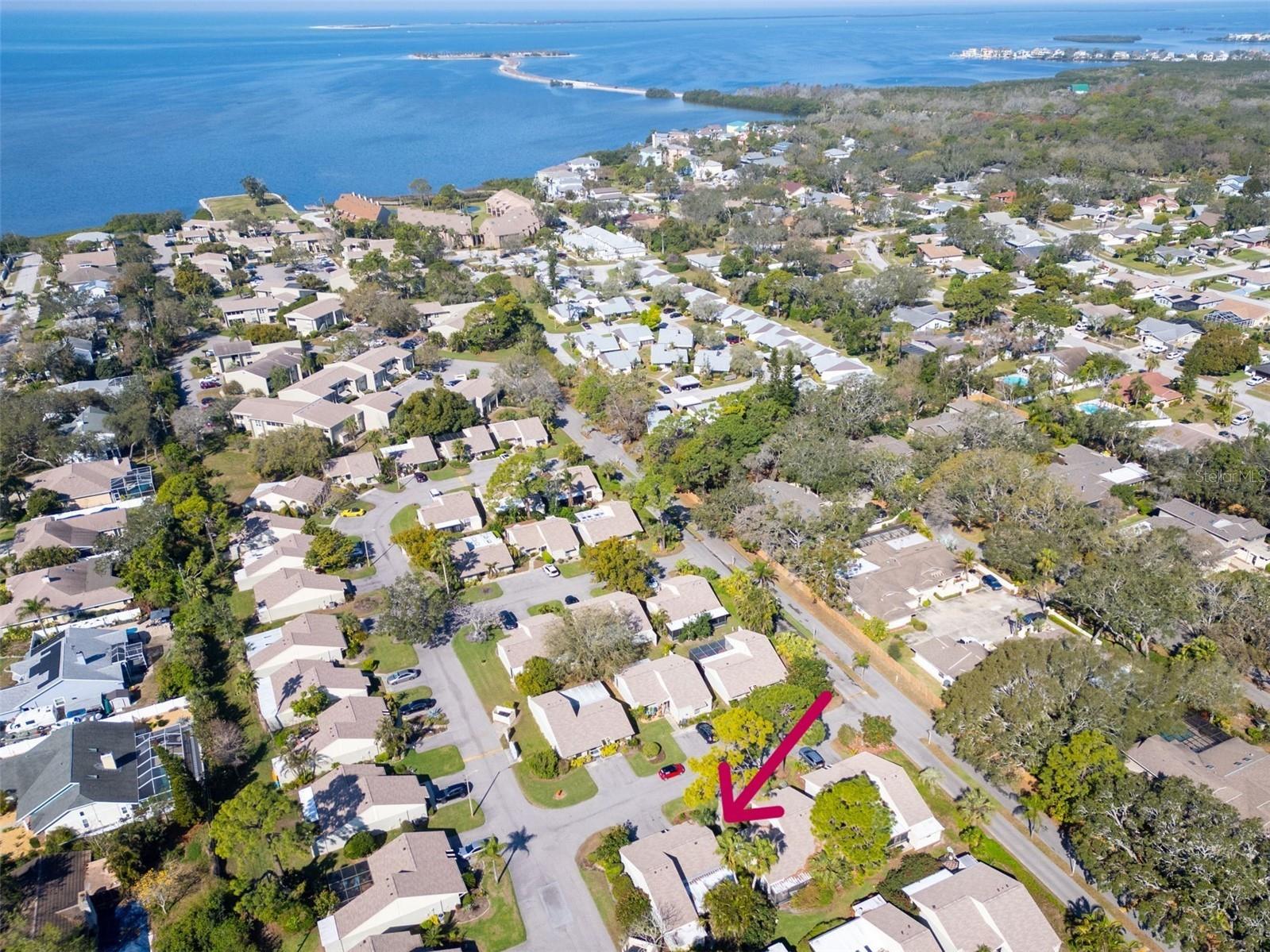 25 Windrush Bay Drive #25 Tarpon Springs FL 34689 - GULF OF MEXICO TB8356761 image35