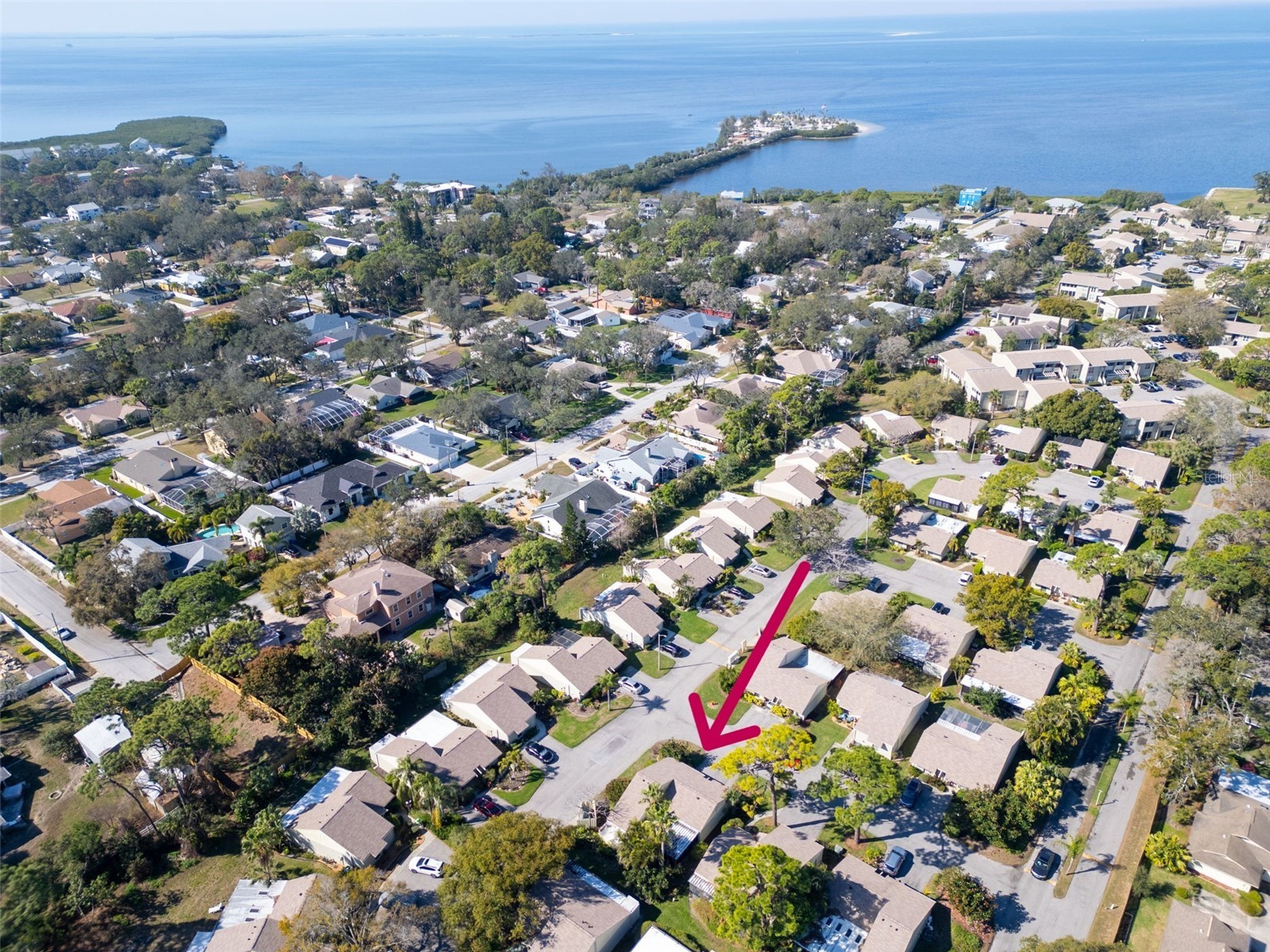 25 Windrush Bay Drive #25 Tarpon Springs FL 34689 - GULF OF MEXICO TB8356761 image37