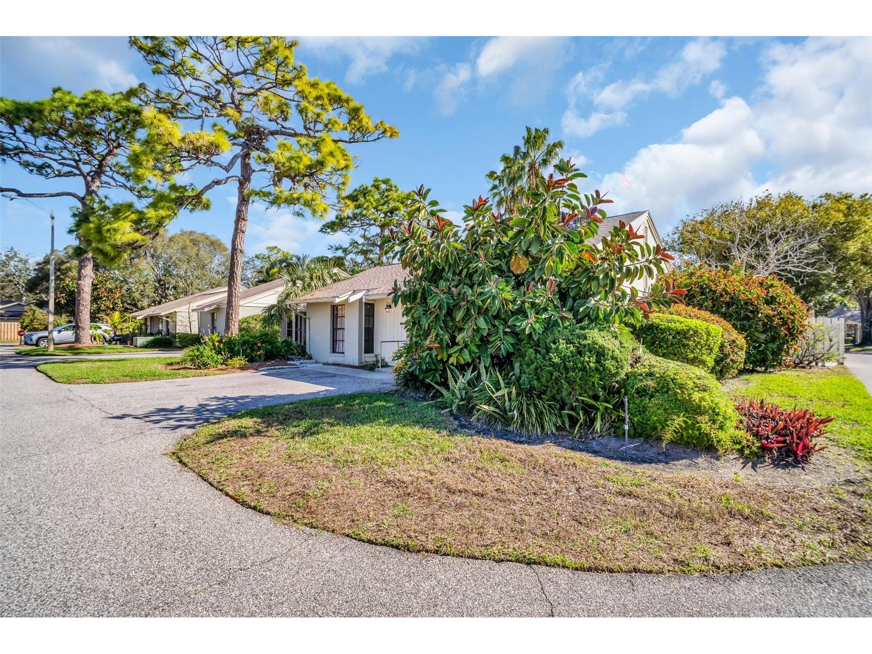 25 Windrush Bay Drive #25 Tarpon Springs FL 34689 - GULF OF MEXICO TB8356761 image42