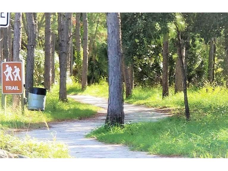 25 Windrush Bay Drive #25 Tarpon Springs FL 34689 - GULF OF MEXICO TB8356761 image57