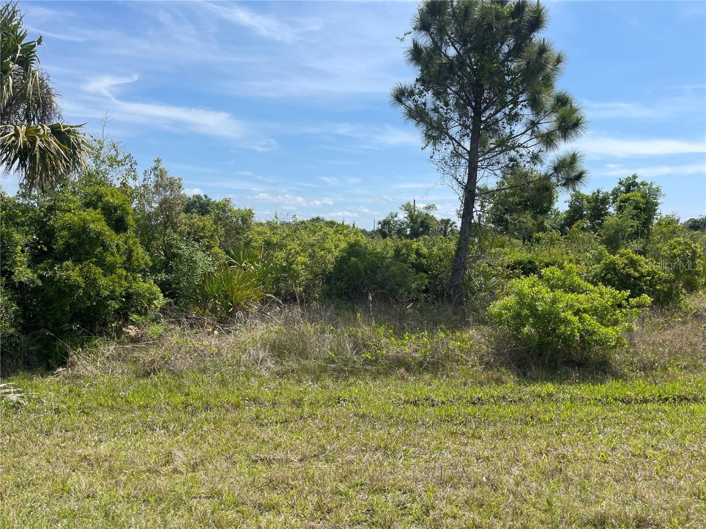 250 Albion Street Port Charlotte FL 33953 C7490198 image1