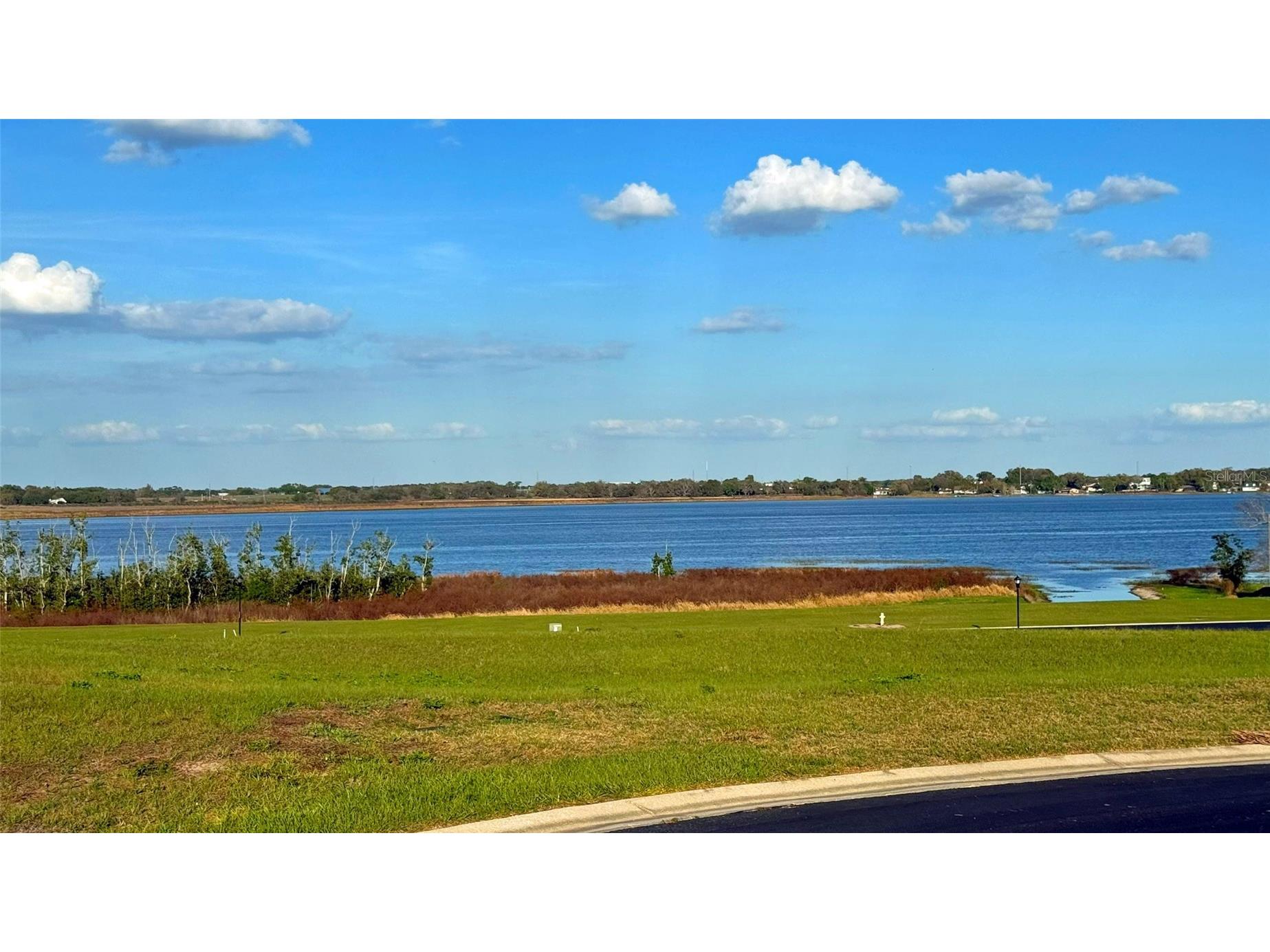 250 Amaryllis Way Lake Alfred FL 33850 - LAKE ALFRED L4960185 image1