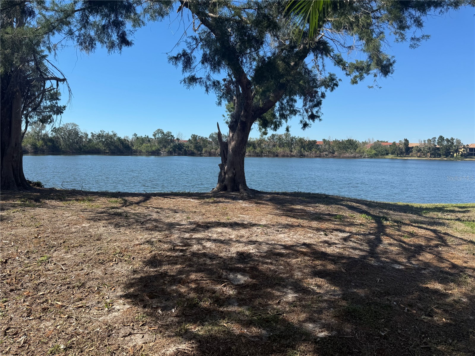 250 Cape Harbour Loop #106 Bradenton FL 34212 A4695787 image14