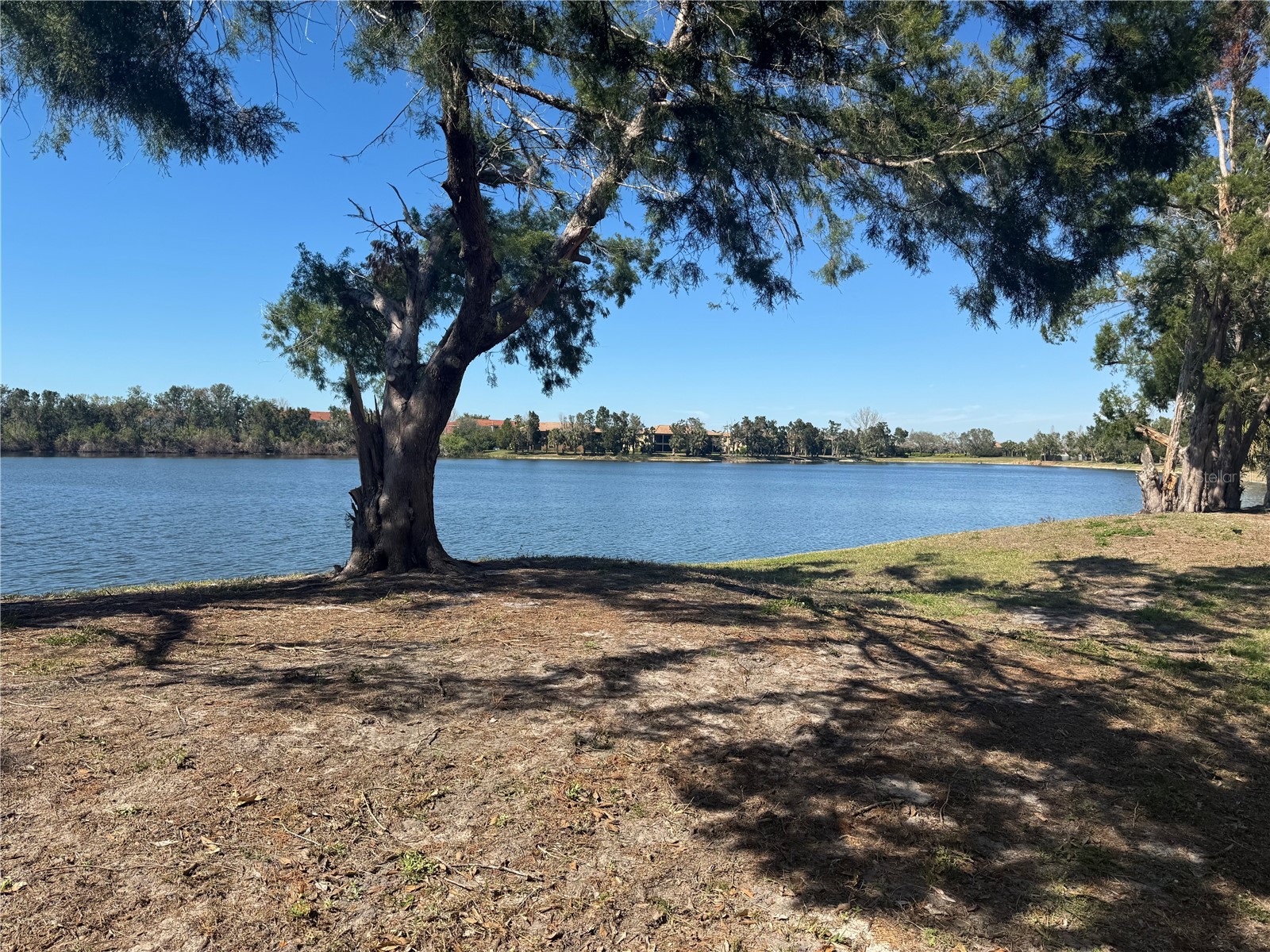 250 Cape Harbour Loop #106 Bradenton FL 34212 A4695787 image22