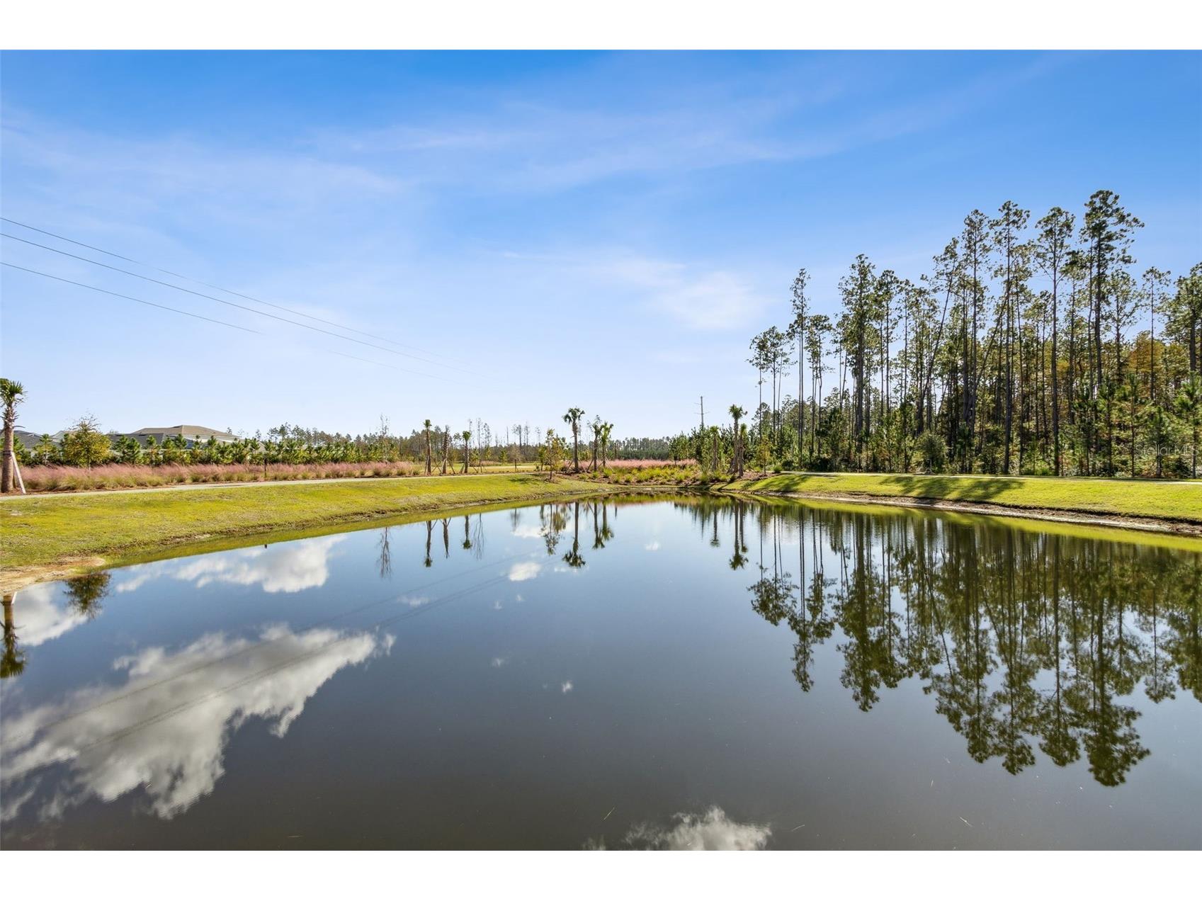 250 Daydream Avenue Yulee FL 32097 GC539221 image39