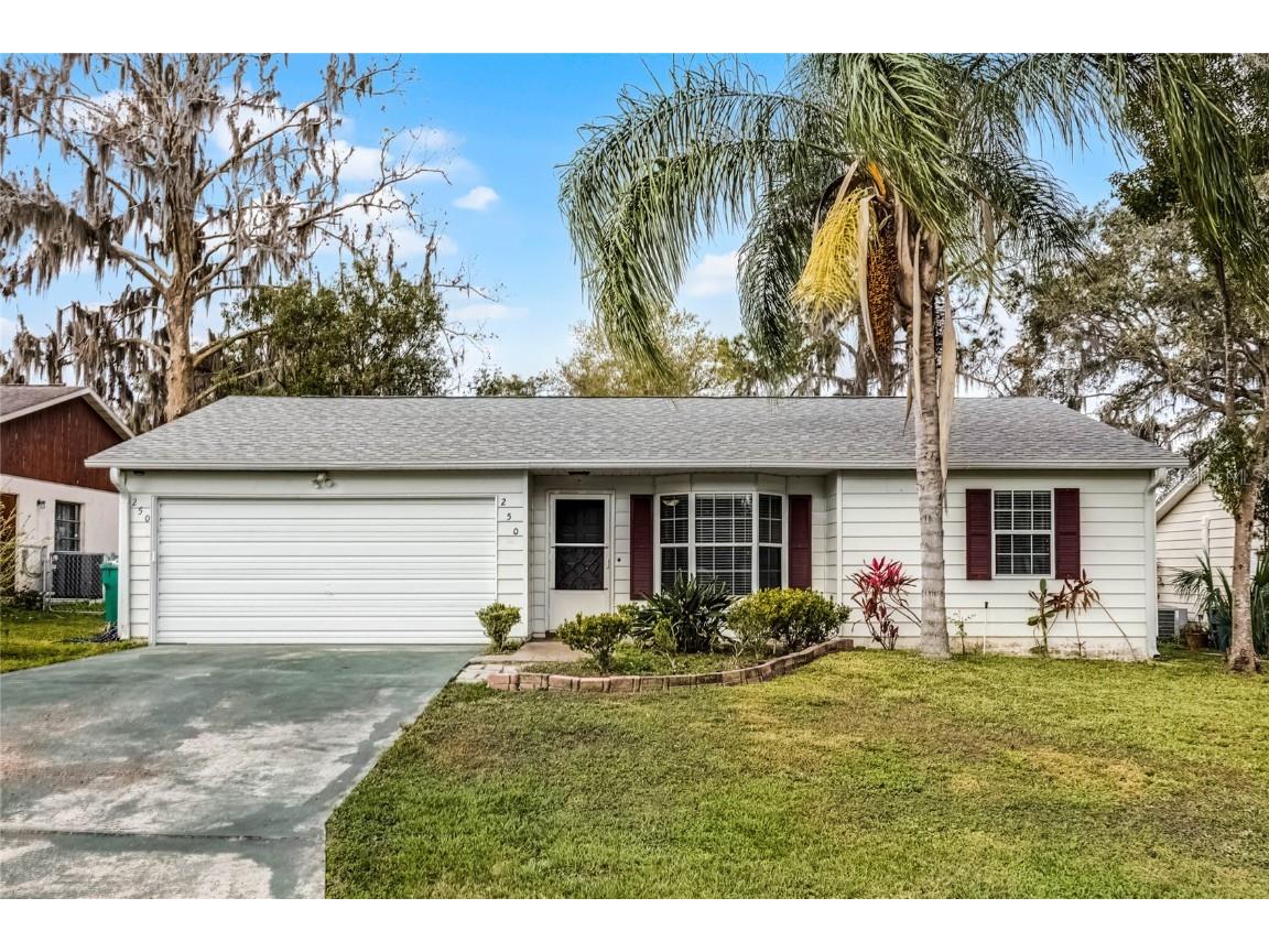 250 Douglas Drive Eustis FL 32726 O6281477 image1