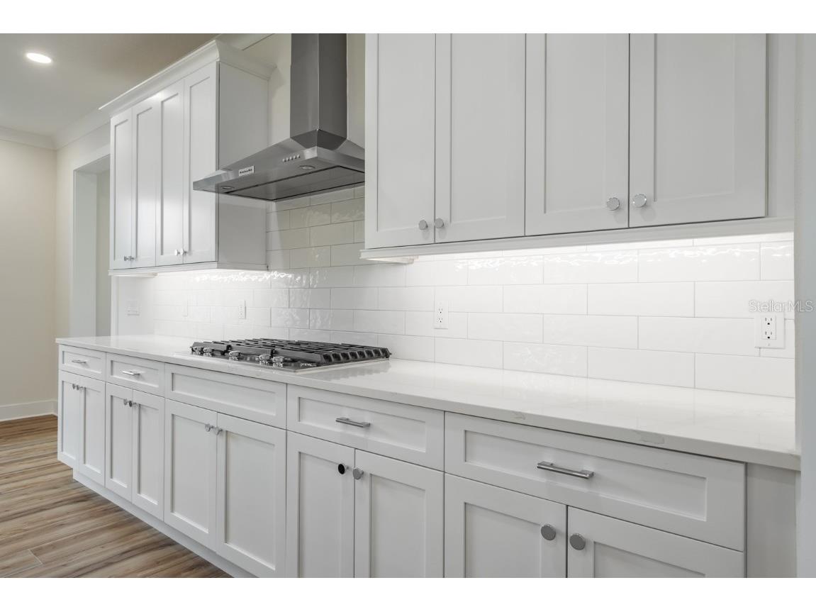 250 Larocca Court Palm Harbor FL 34683 TB8402737 image24