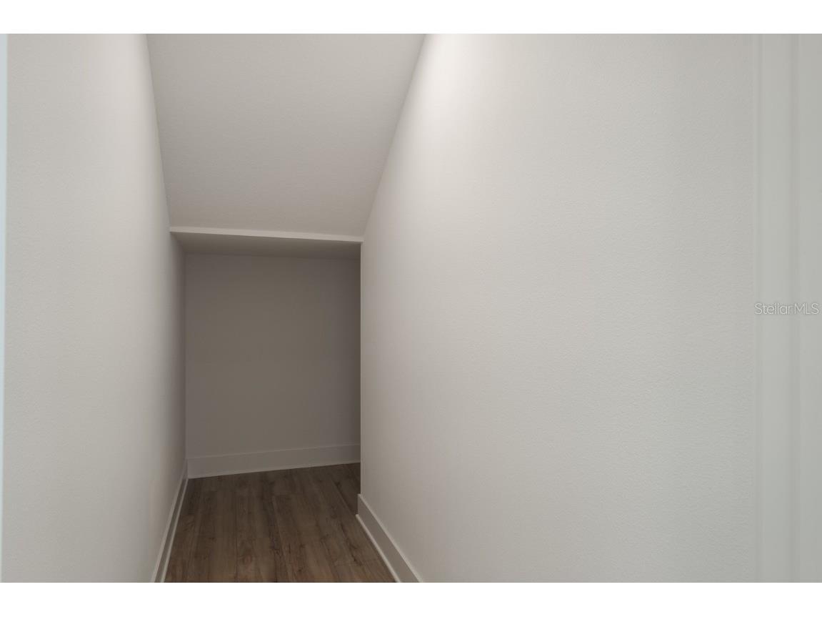 250 Larocca Court Palm Harbor FL 34683 TB8402737 image36