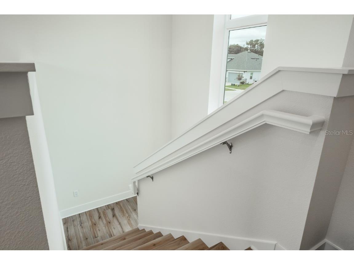 250 Larocca Court Palm Harbor FL 34683 TB8402737 image37