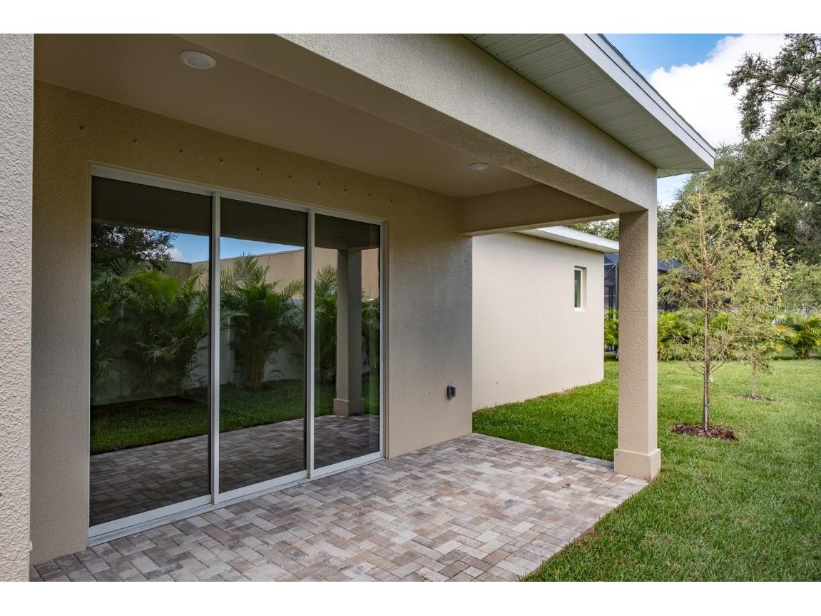 250 Larocca Court Palm Harbor FL 34683 TB8402737 image58