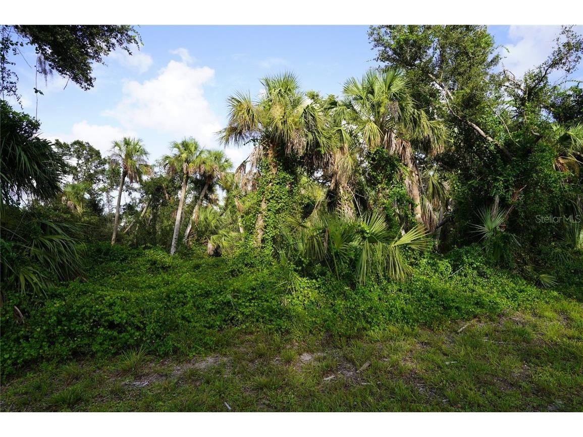 250 Lecturn Street Port Charlotte FL 33954 C7478260 image1