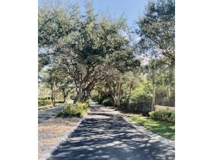 250 Minorca Beach Way #203 New Smyrna Beach FL 32169 - ATLANTIC V4948586 image21