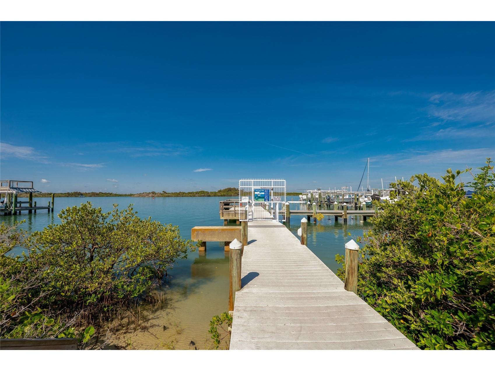 250 Minorca Beach Way #906 New Smyrna Beach FL 32169 NS1088039 image41