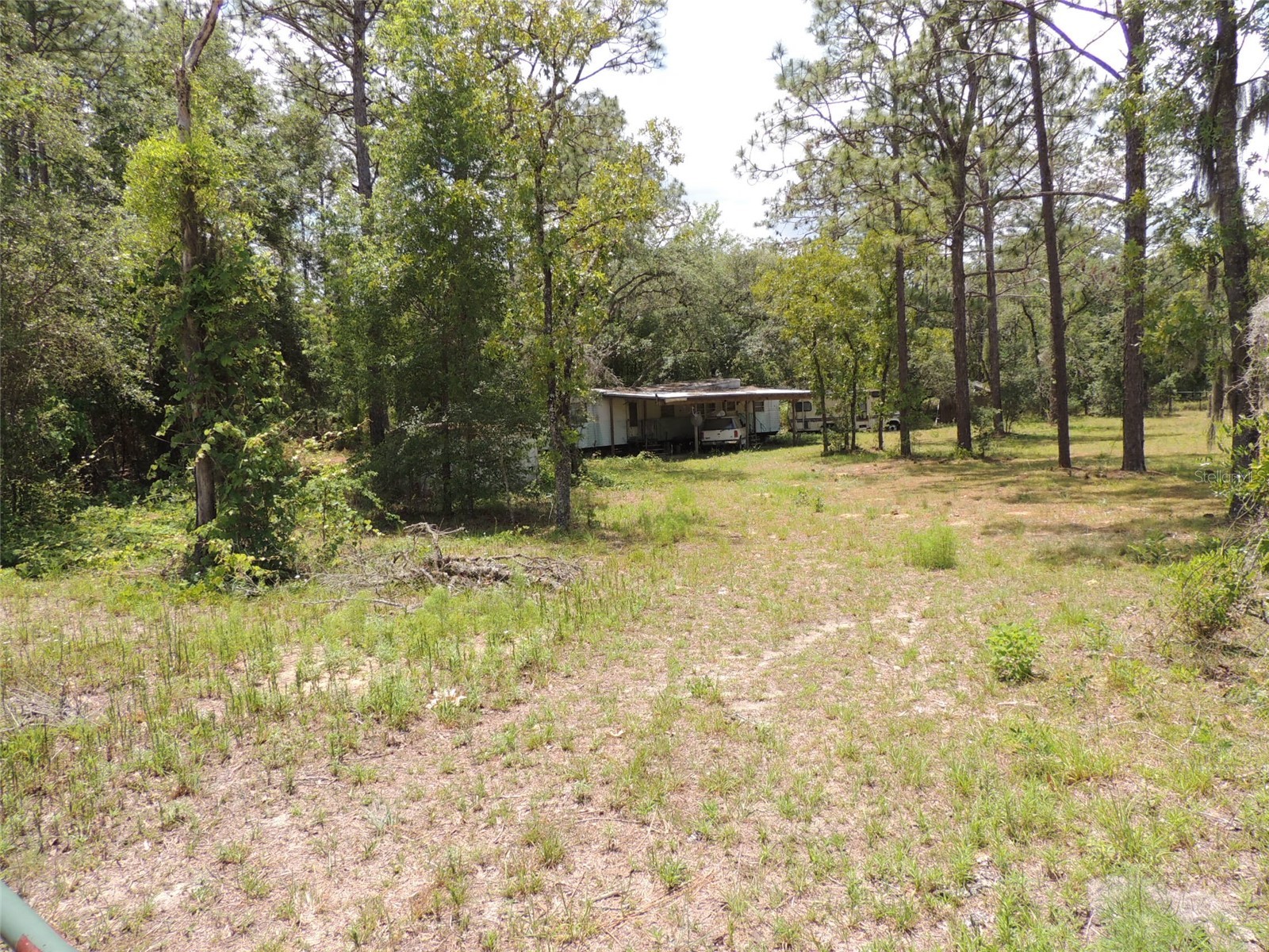 250 NE 131st Avenue Williston FL 32696 OM724134 image1