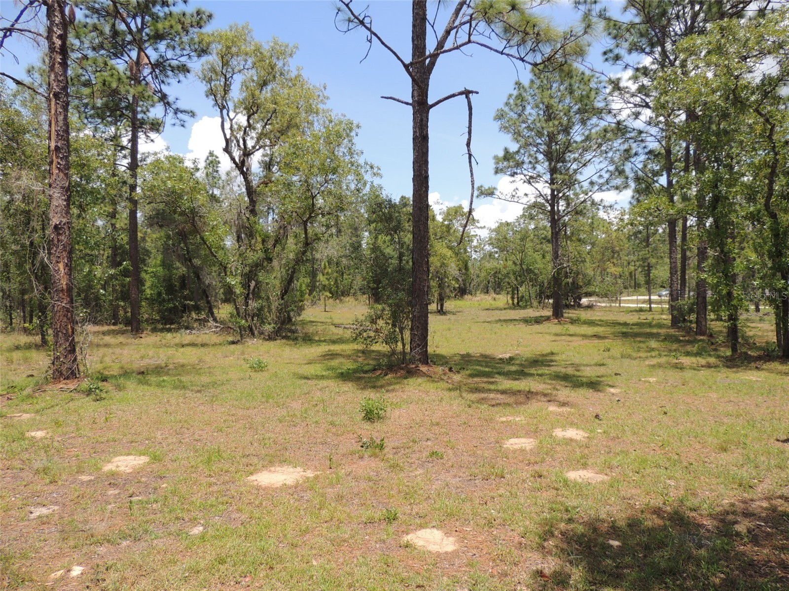250 NE 131st Avenue Williston FL 32696 OM724134 image11