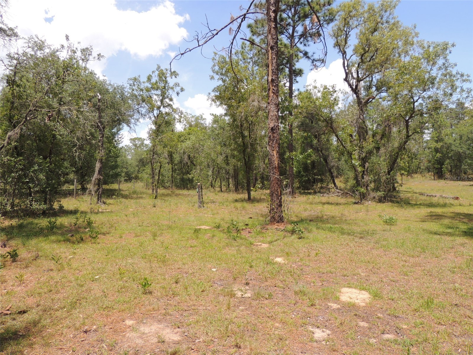 250 NE 131st Avenue Williston FL 32696 OM724134 image12