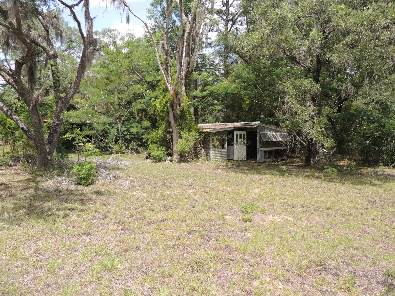 250 NE 131st Avenue Williston FL 32696 OM724134 image28