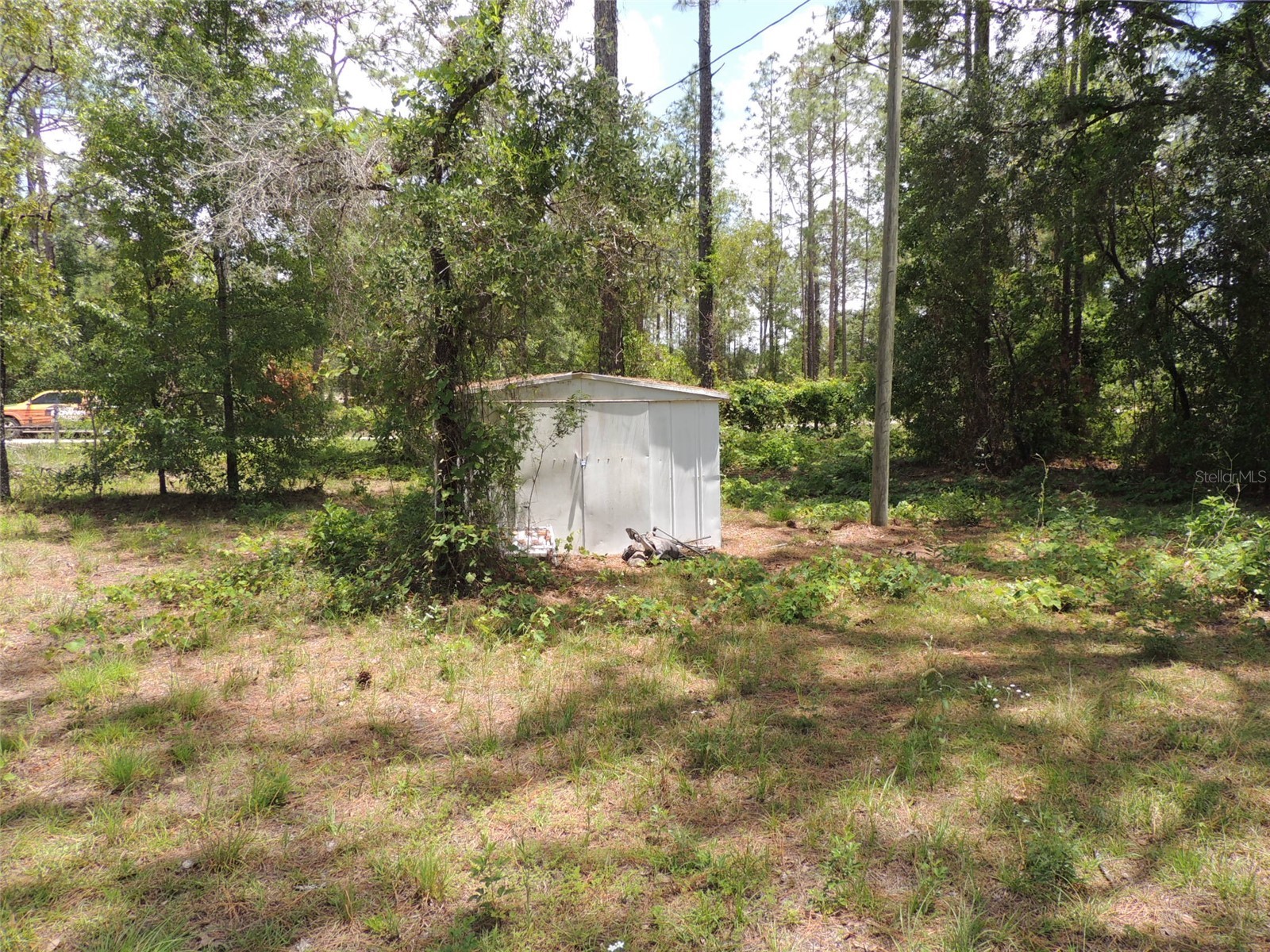 250 NE 131st Avenue Williston FL 32696 OM724134 image4