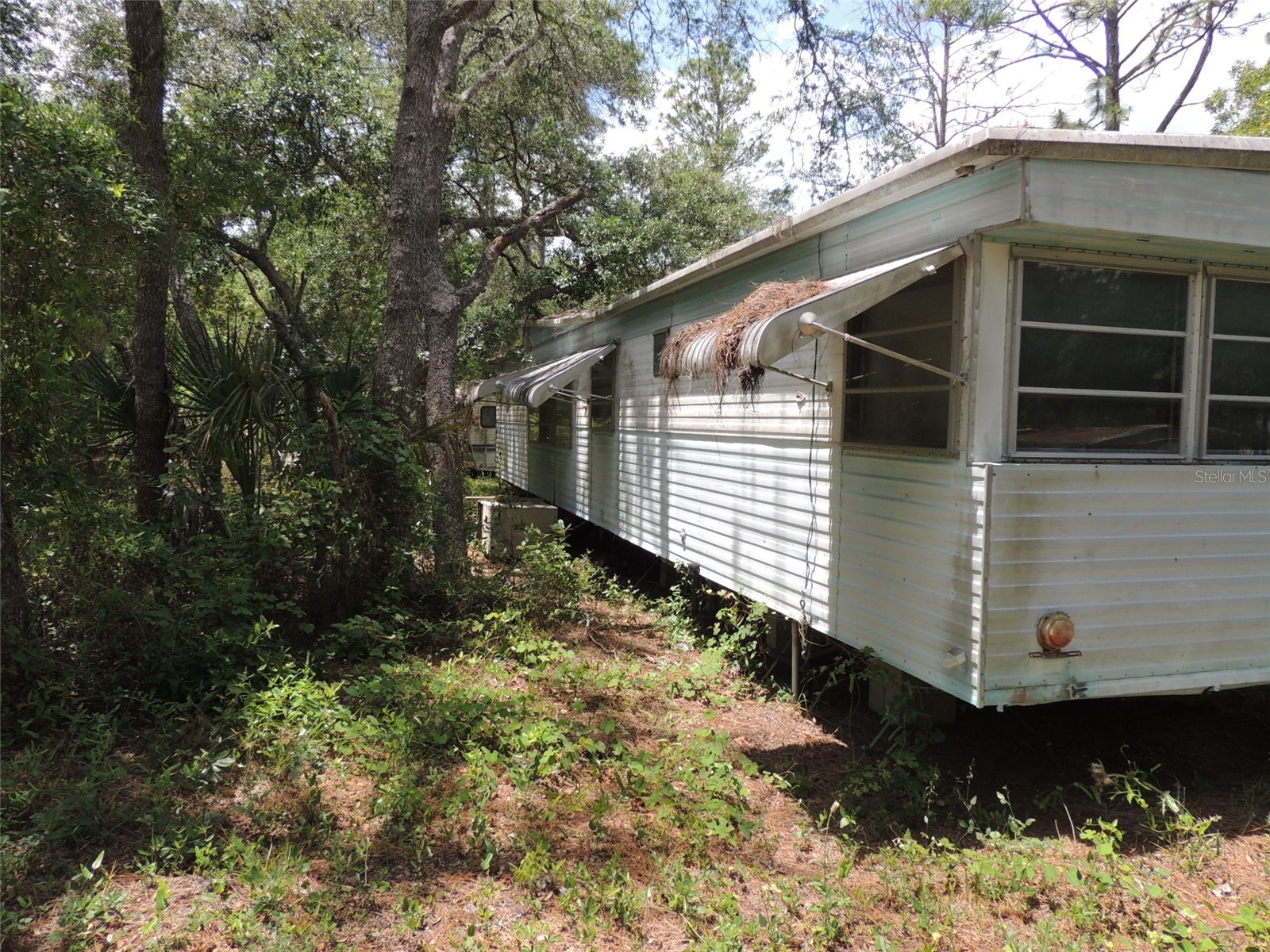 250 NE 131st Avenue Williston FL 32696 OM724134 image7
