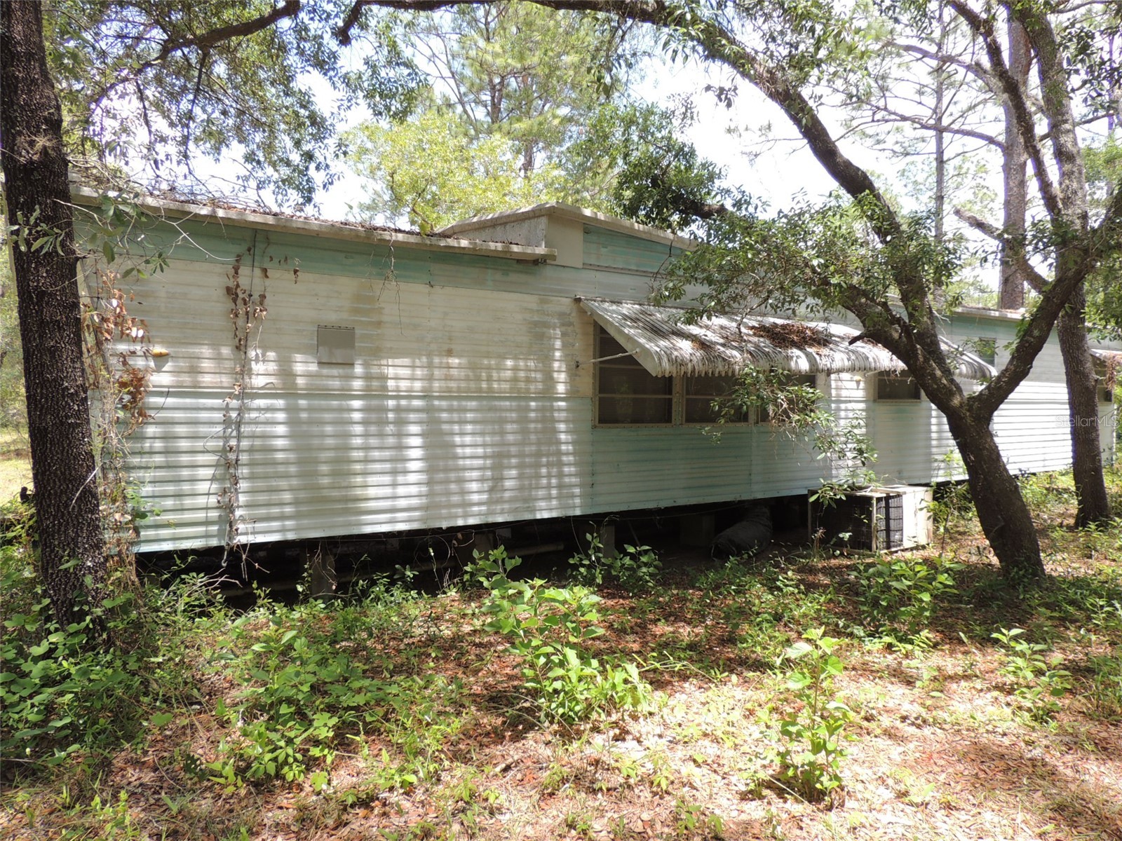 250 NE 131st Avenue Williston FL 32696 OM724134 image8