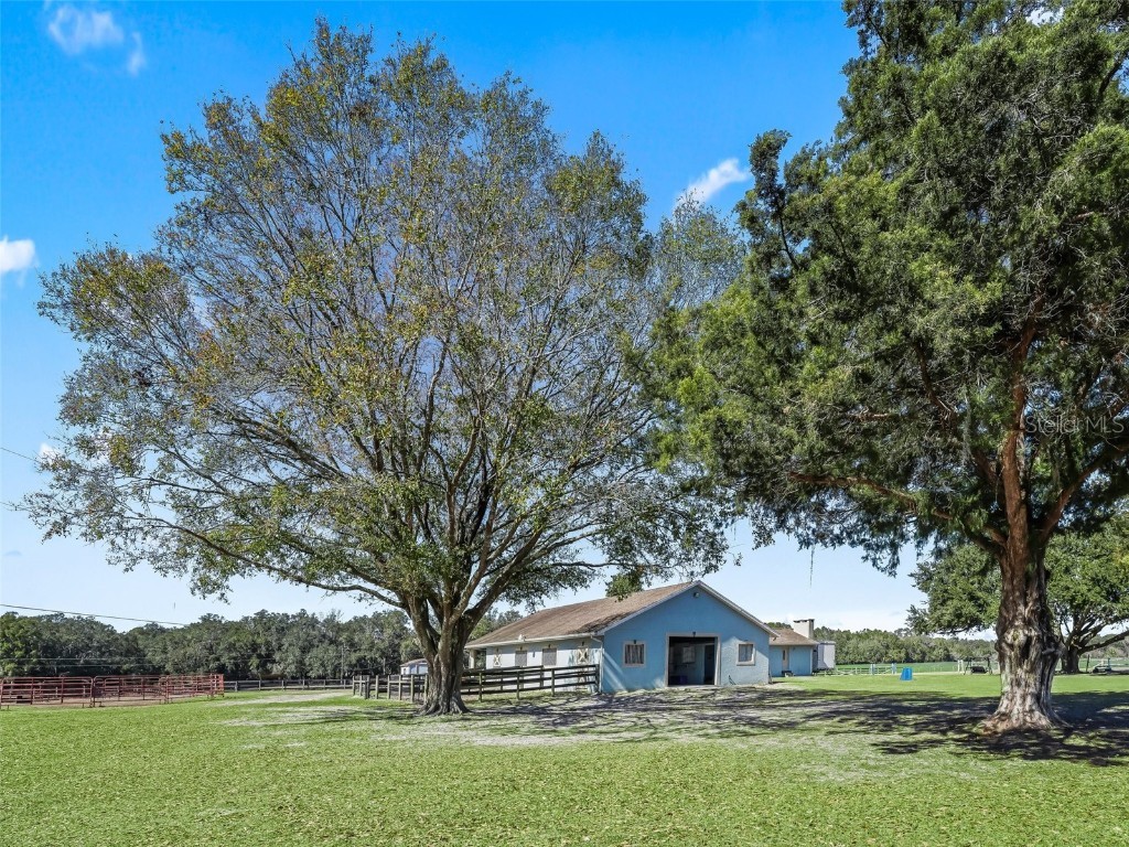 250 NE 195th Avenue Williston FL 32696 OM713620 image1