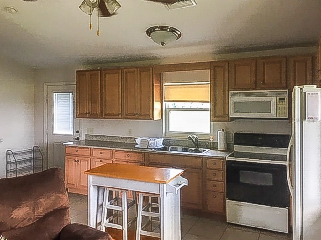 250 NE 195th Avenue Williston FL 32696 OM713620 image44