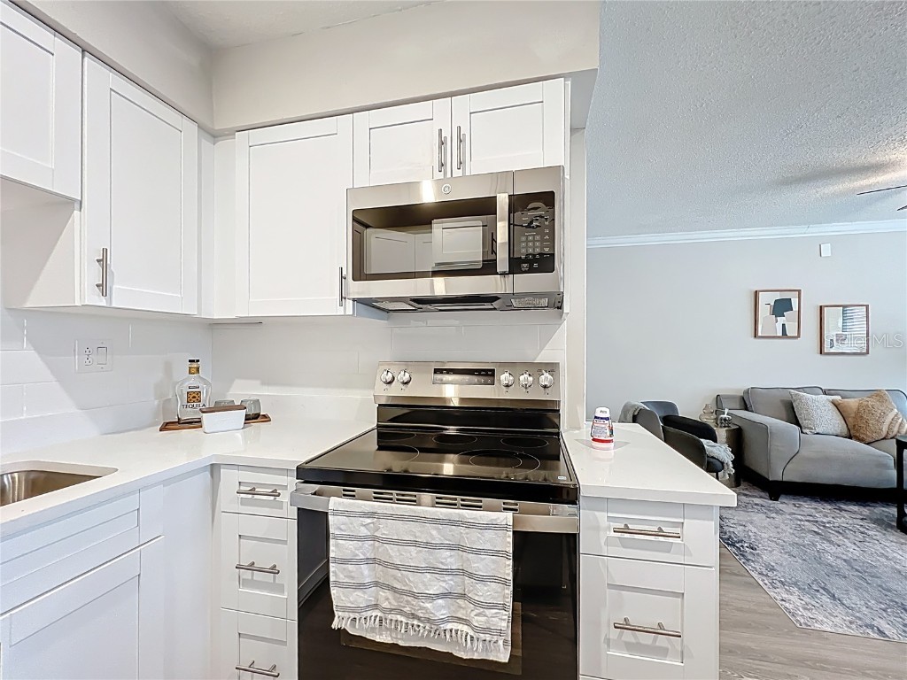 250 Rosery Road NW #202 Largo FL 33770 TB8426477 image8