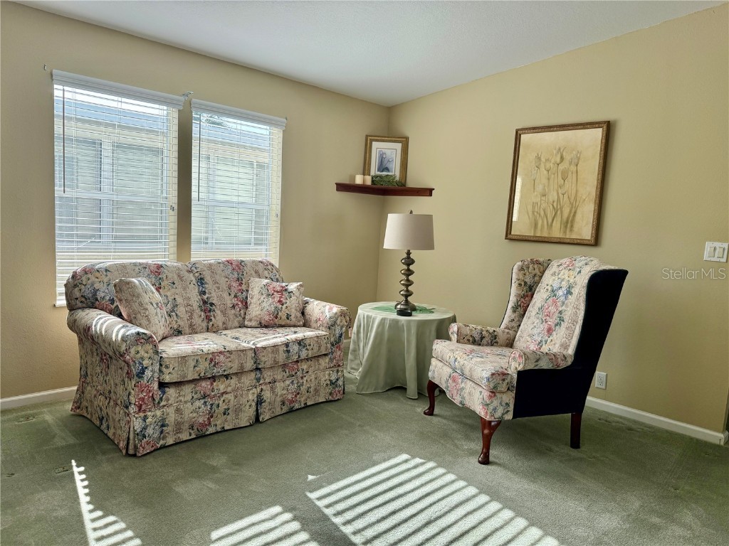 250 S Port Royal Lane Apollo Beach FL 33572 TB8394012 image3