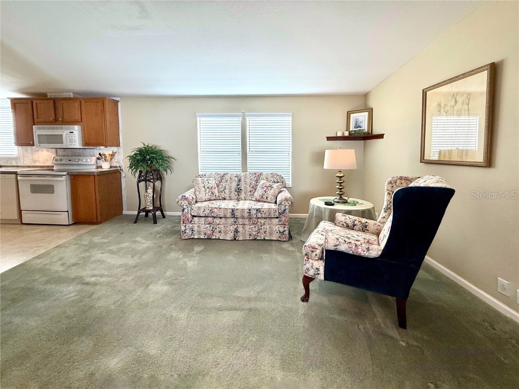 250 S Port Royal Lane Apollo Beach FL 33572 TB8394012 image4