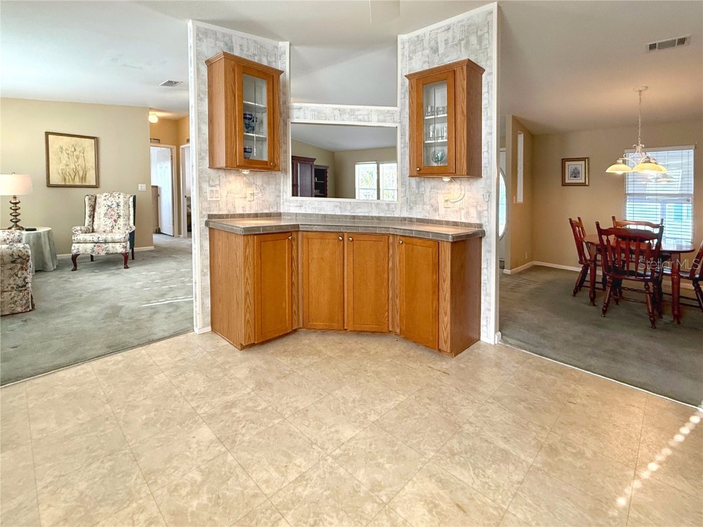 250 S Port Royal Lane Apollo Beach FL 33572 TB8394012 image9