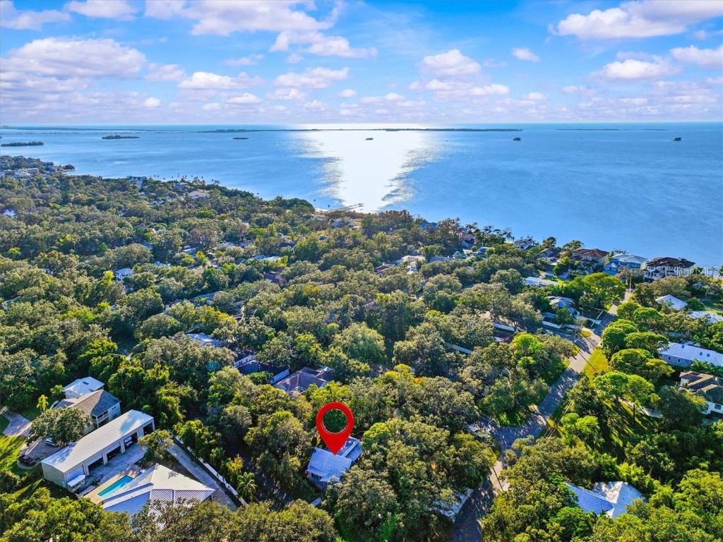 250 Sage Road Crystal Beach FL 34681 TB8445933 image3