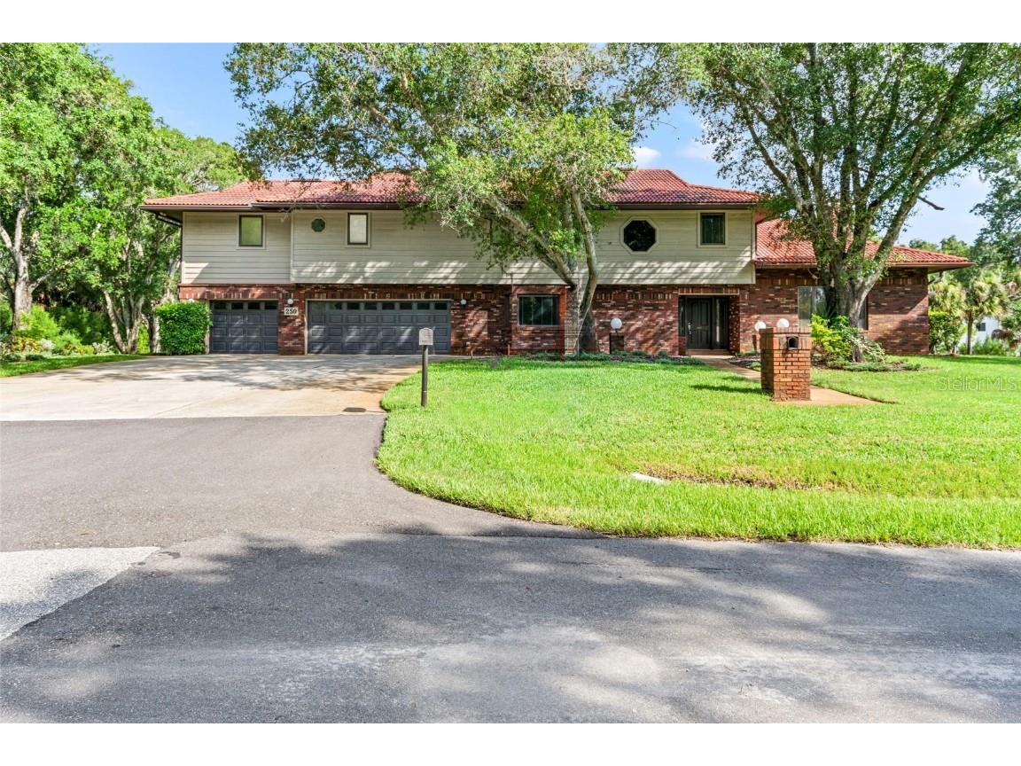 250 Strathmore Avenue Oldsmar FL 34677 T3540379 image1