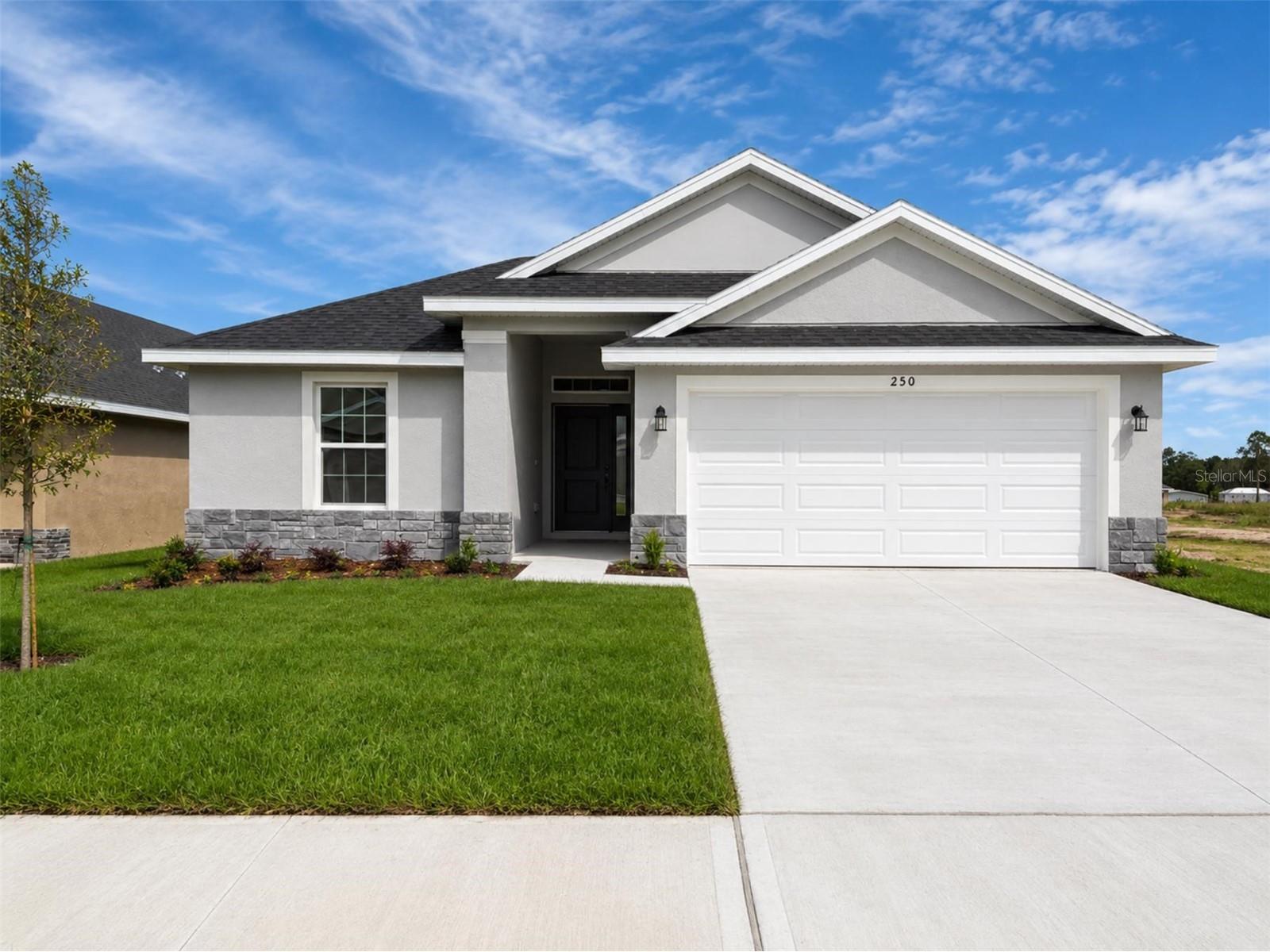 250 Verny Grove Lane Leesburg FL 34748 O6399906 image1