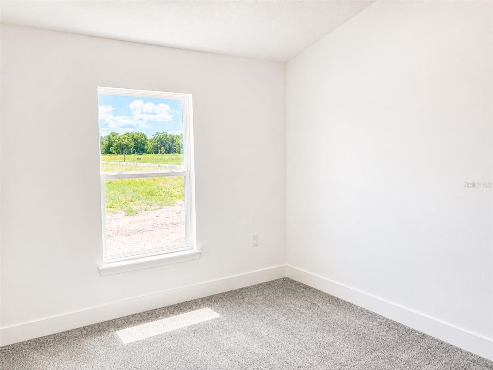 250 Verny Grove Lane Leesburg FL 34748 O6399906 image10