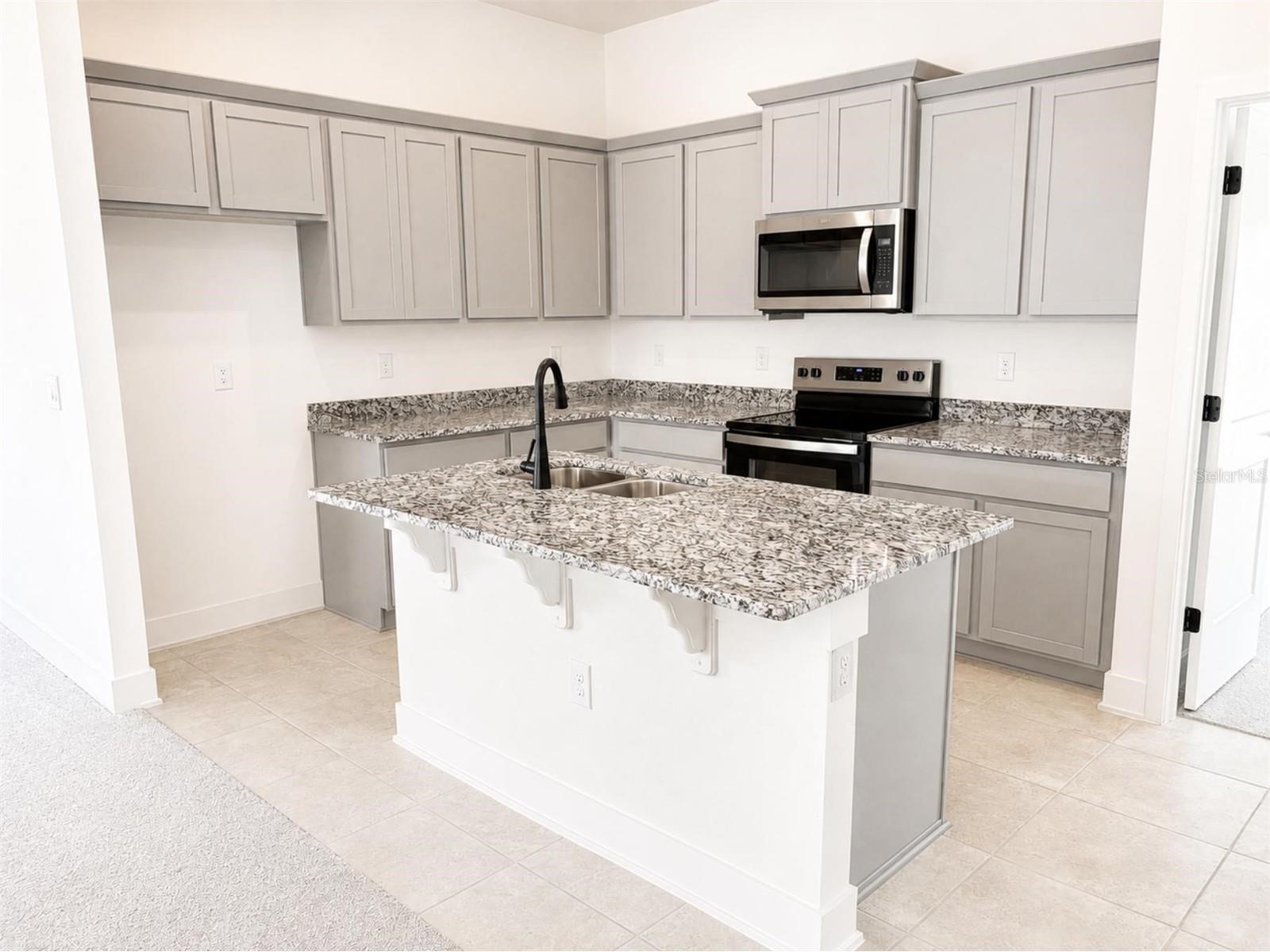 250 Verny Grove Lane Leesburg FL 34748 O6399906 image4