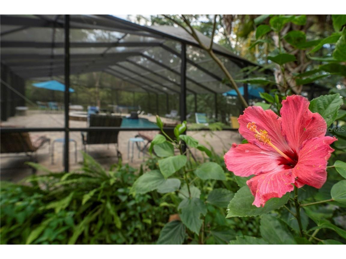 250 W West Lake Drive Hawthorne FL 32640 - WEST LAKE GC523118 image17