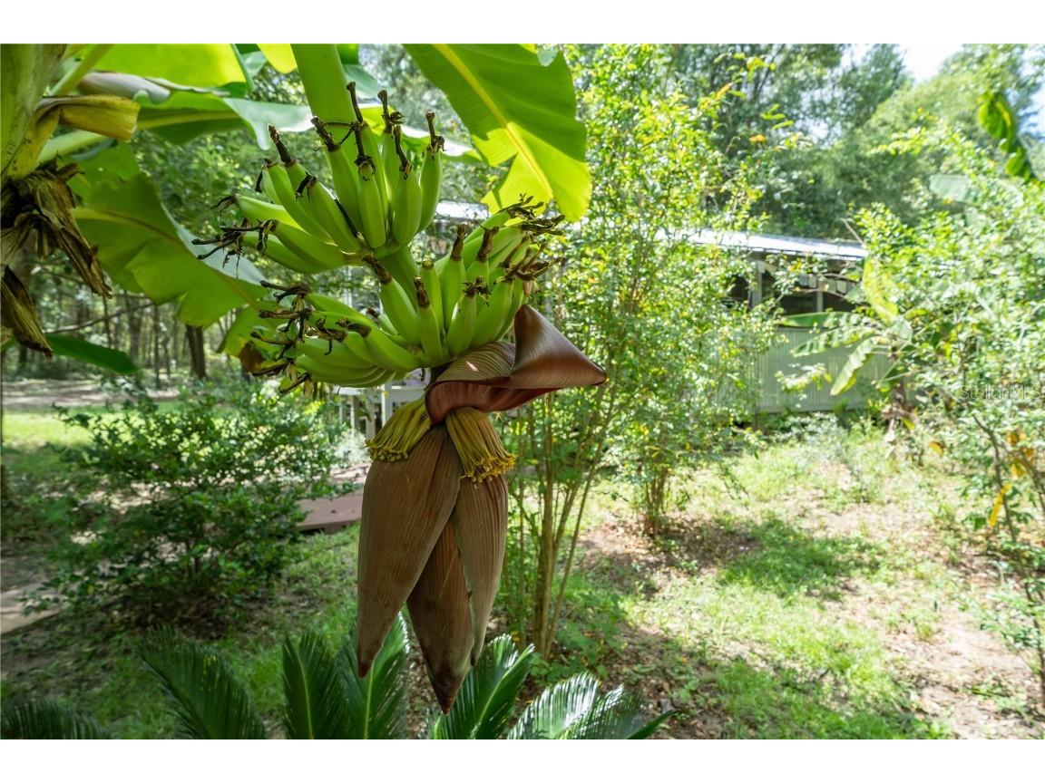 250 W West Lake Drive Hawthorne FL 32640 - WEST LAKE GC523118 image47