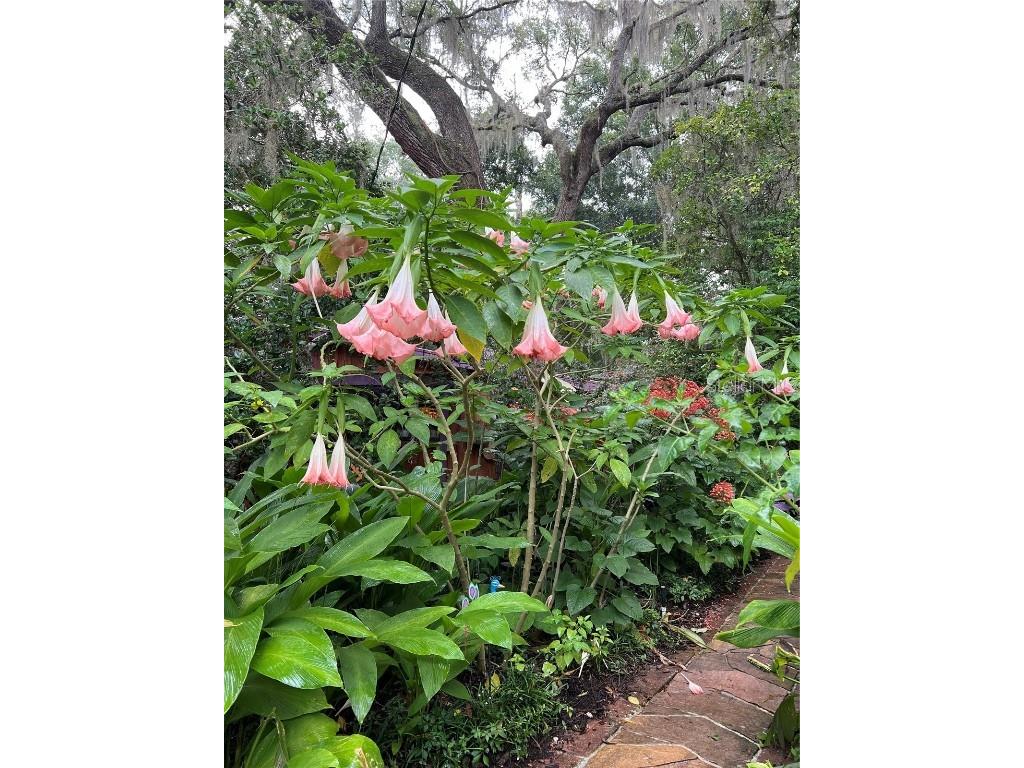 250 W West Lake Drive Hawthorne FL 32640 - WEST LAKE GC523118 image48