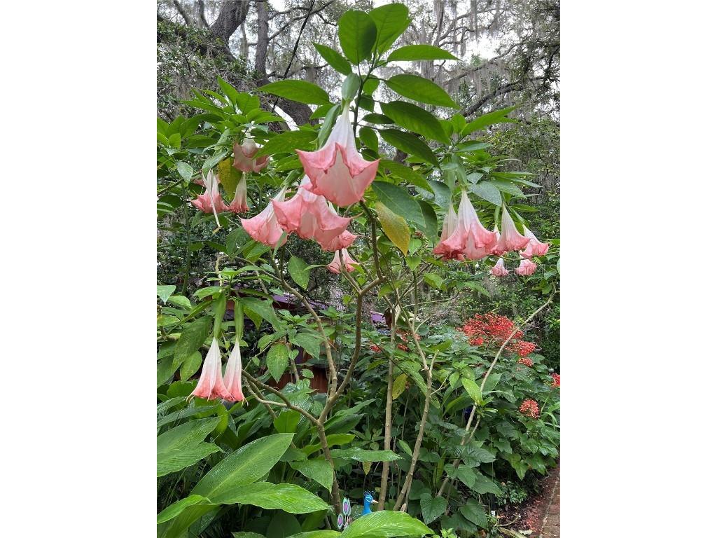 250 W West Lake Drive Hawthorne FL 32640 - WEST LAKE GC523118 image49