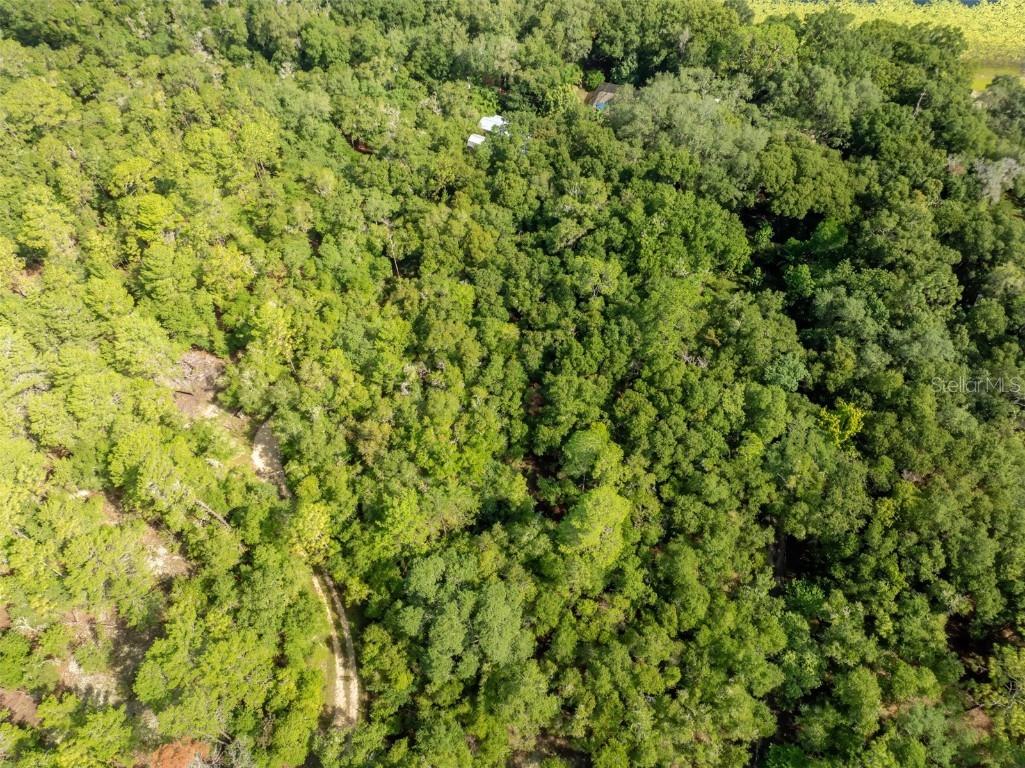 250 W West Lake Drive Hawthorne FL 32640 - WEST LAKE GC523118 image50