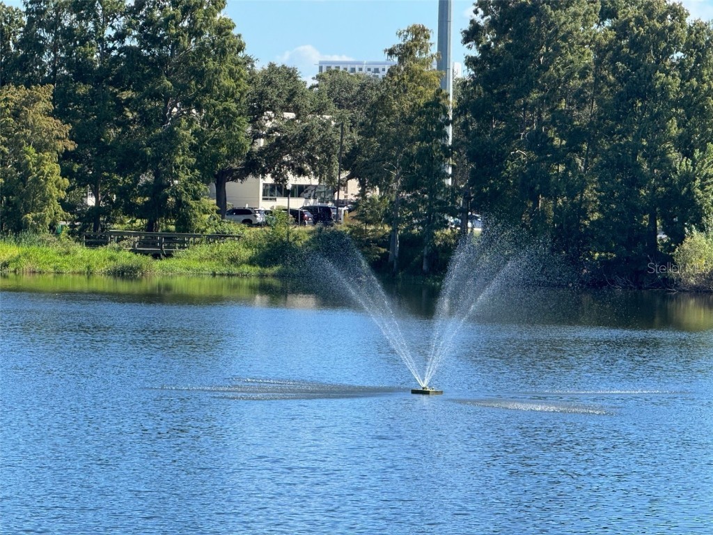 2500 14th Avenue N Saint Petersburg FL 33713 TB8436396 image24