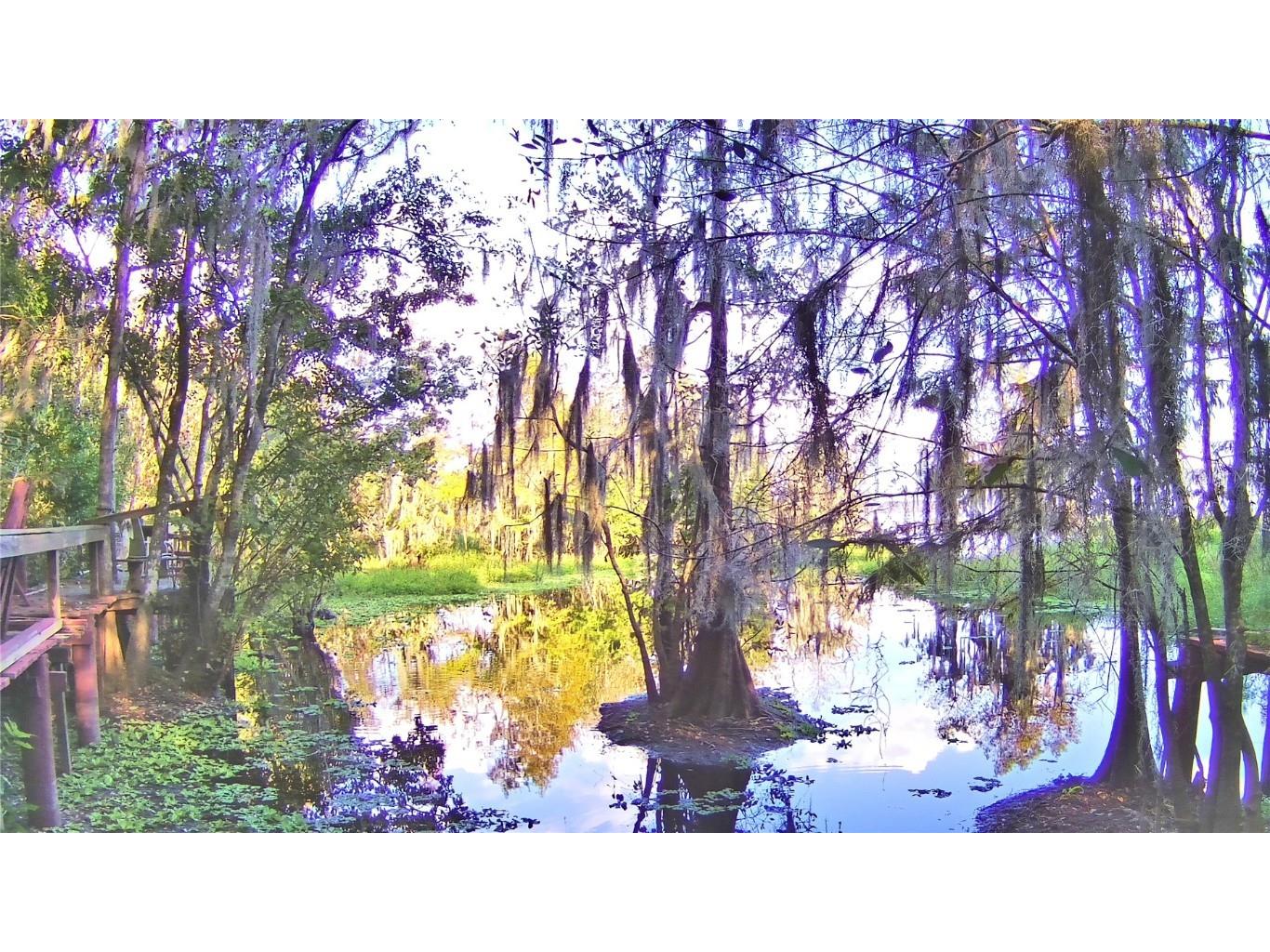 2500 Arbuckle Shores Road Frostproof FL 33843 - LAKE ARBUCKLE K4902318 image1