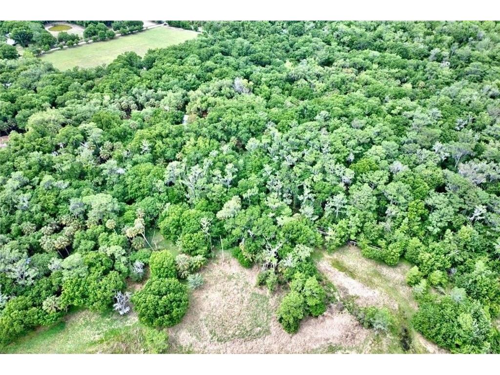2500 Arbuckle Shores Road Frostproof FL 33843 - LAKE ARBUCKLE C7527276 image16