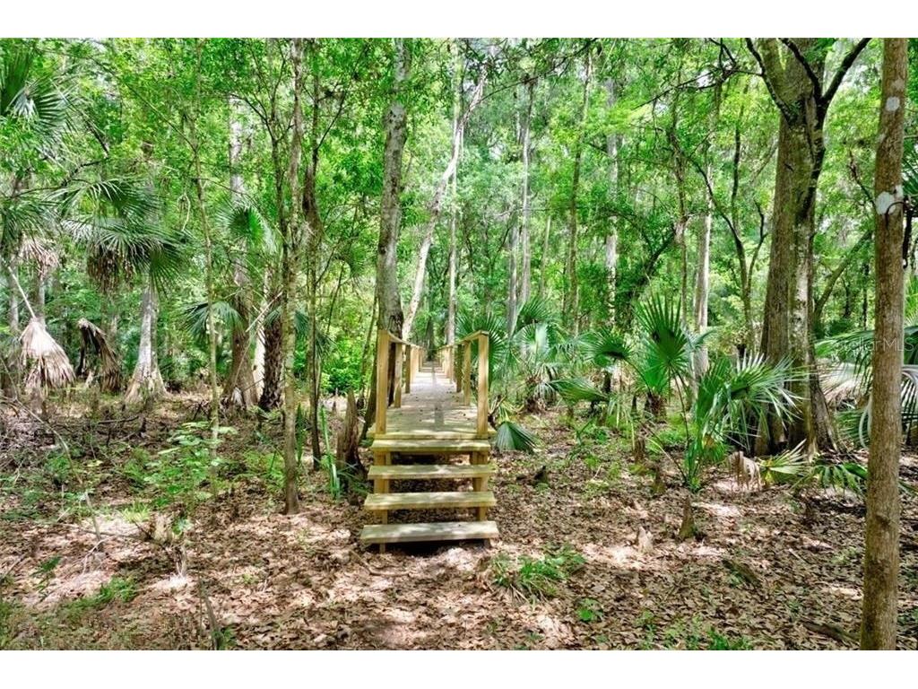 2500 Arbuckle Shores Road Frostproof FL 33843 - LAKE ARBUCKLE C7527276 image3
